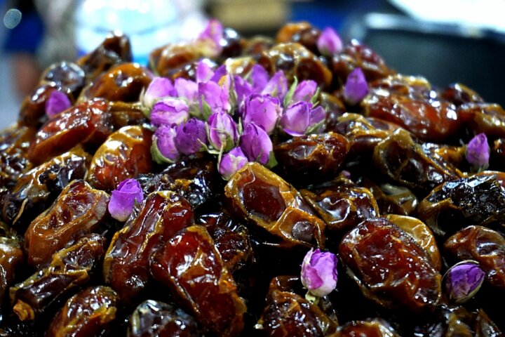 داشتههای بوشهر برای مسافران جام جهانی قطر 4