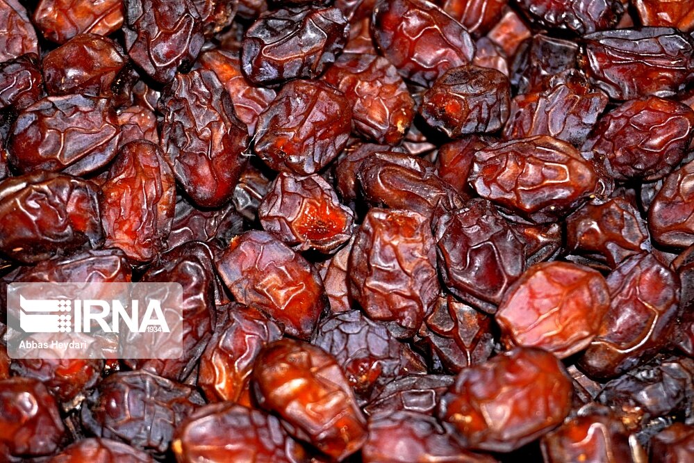 ۶ واریته خرمای ایران ثبت جهانی شدهاست  ۶ واریته خرمای ایران ثبت جهانی شدهاست