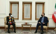Amirabdollahian: Iran determined to expand ties with African countries