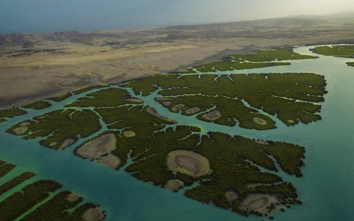 ۲۸ نقطه در جزیره قشم که باید ببینید(۱)