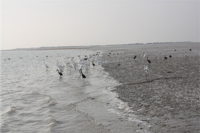 ۲۸ نقطه در جزیره قشم که باید ببینید(۱)