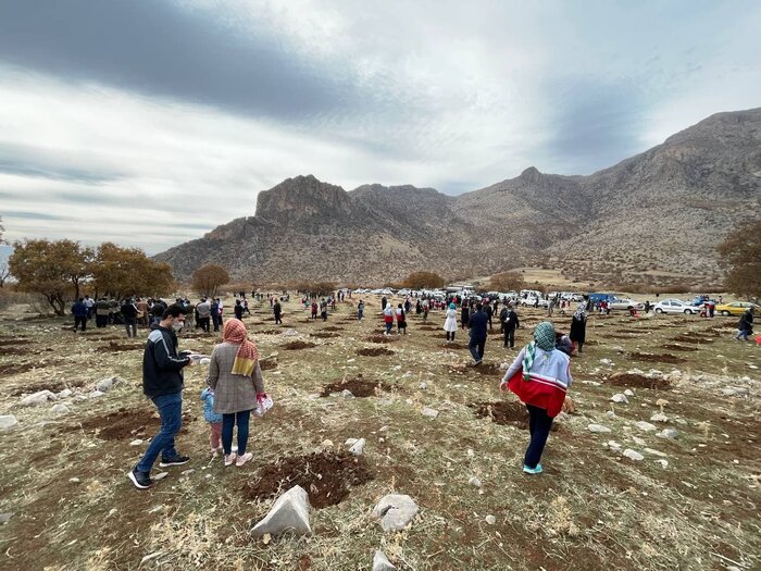 کرمانشاهیان به یاد ۹هزار و ۸۰۰ شهید والامقام در پویشی مردمی بذر کاشتند