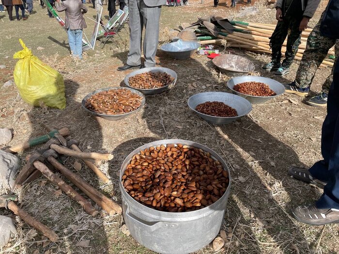 کرمانشاهیان به یاد ۹هزار و ۸۰۰ شهید والامقام در پویشی مردمی بذر کاشتند