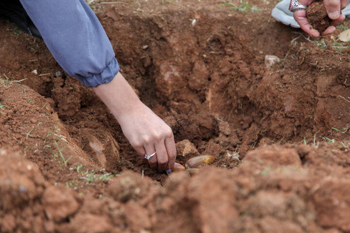 کمبود اعتبار و کاهش نزولات جوی میزان تولید بذر در کشور را کاهش داد