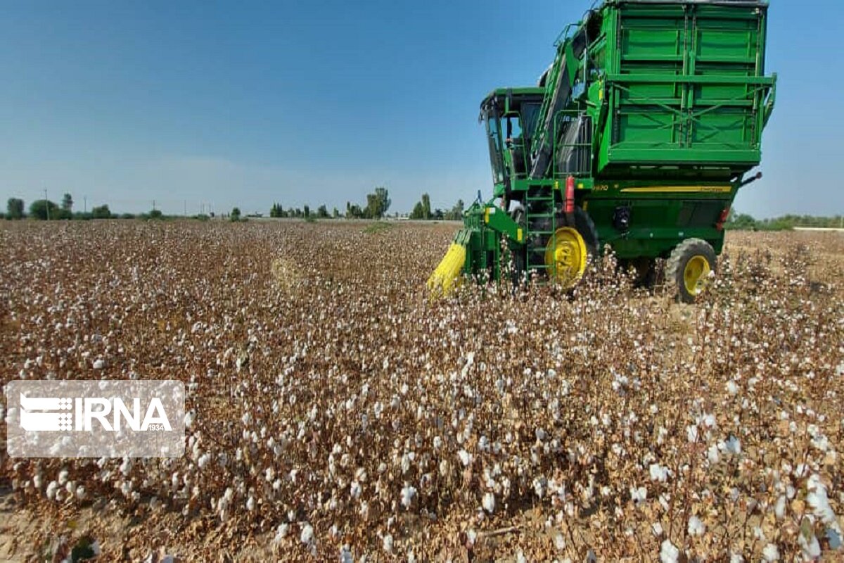 پایان نیم قرن انتظار و روسپیدی پنبه برای سیستان و بلوچستان