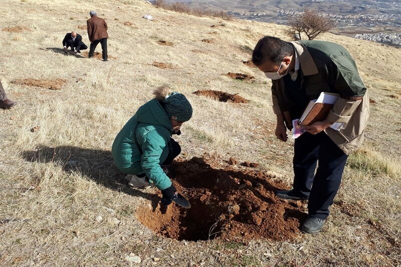 پویش مردمی بذرکاری برای احیای جنگل‌های زاگرس در کردستان آغاز شد