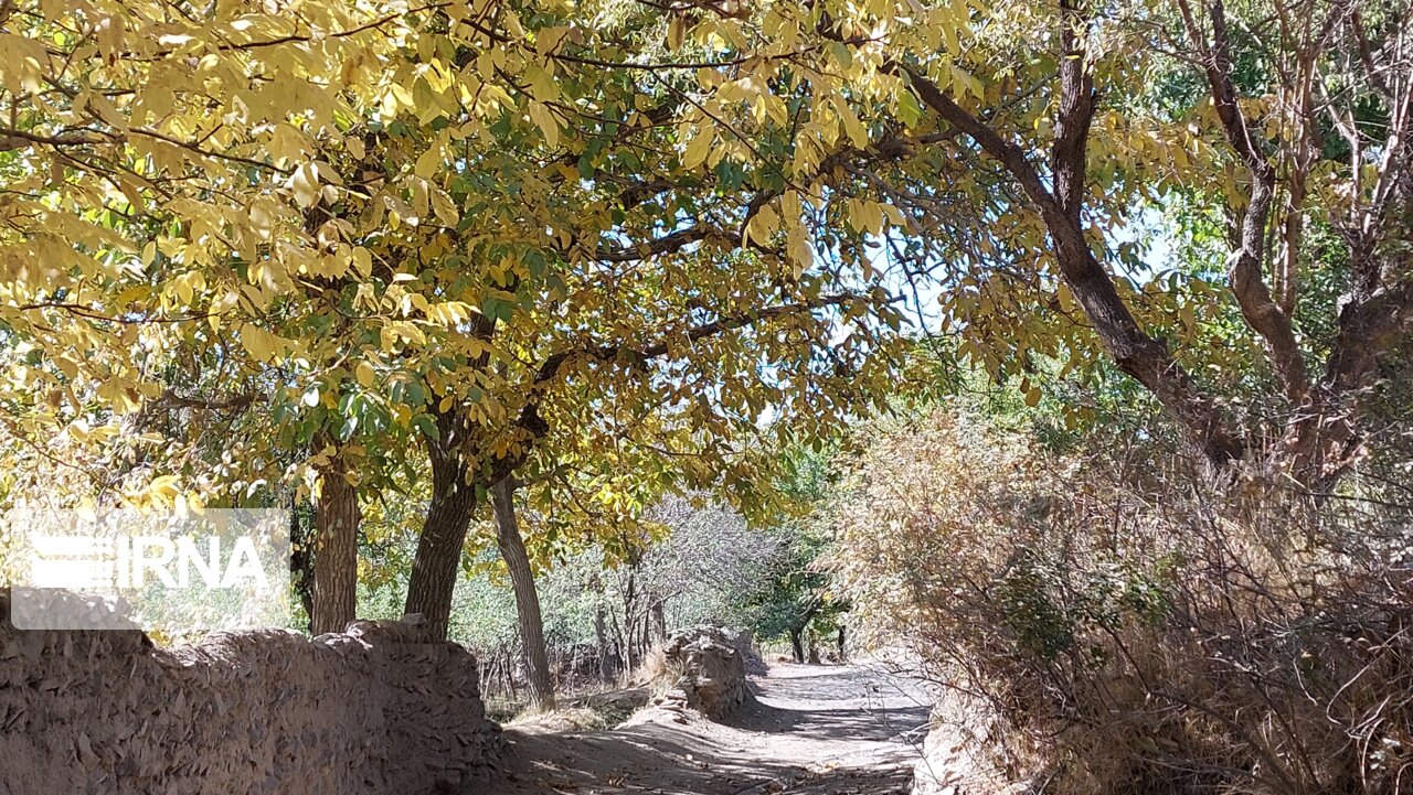 شهروندان جهرم در همایش آشتی با طبیعت حضور یافتند شهروندان جهرم در همایش آشتی با طبیعت حضور یافتند