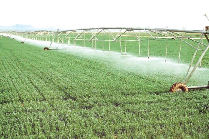 رئیس جهاد کشاورزی آذربایجانشرقی: اصلاح الگوی کشت در بخش زراعت استان کلید خورد