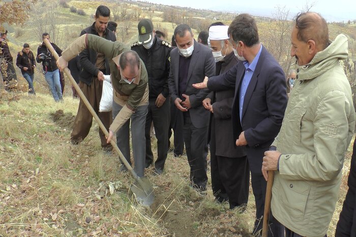 پویش مردمی بذرکاری جنگل‌های زاگرس در آذربایجان غربی آغاز شد 