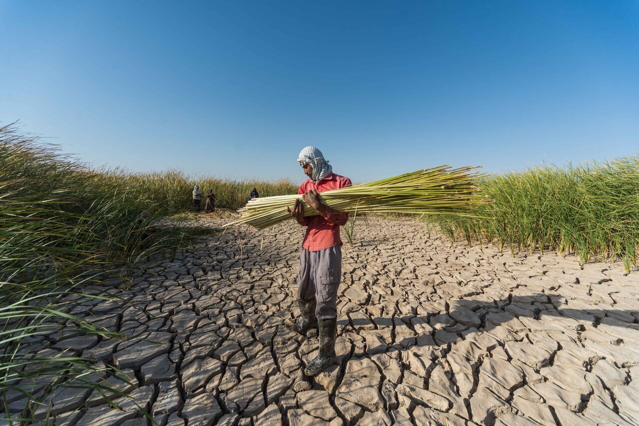 کشاورزان غرب خوزستان به ۲۰ روز رهاسازی آب از سد کرخه نیاز دارند
