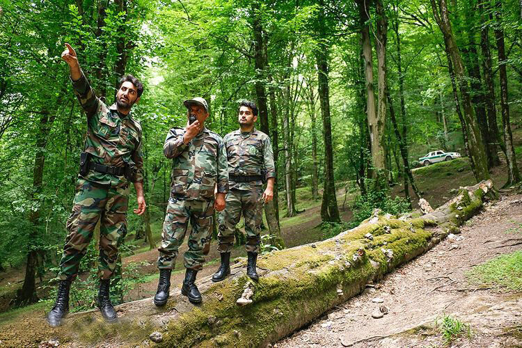 حفاظت از جنگلها و مراتع کشور به ۳۰ هزار مامور اجرایی نیاز دارد حفاظت از جنگلها و مراتع کشور به ۳۰ هزار مامور اجرایی نیاز دارد