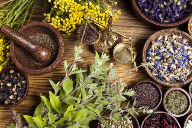 روند توسعه صنعت گیاهان دارویی با فعالیت 6 مرکز نوآوری صعودی شد