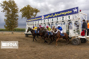 هفته هجدهم مسابقات اسبدوانی گنبد با معرفی اسب‌های برتر پایان یافت
