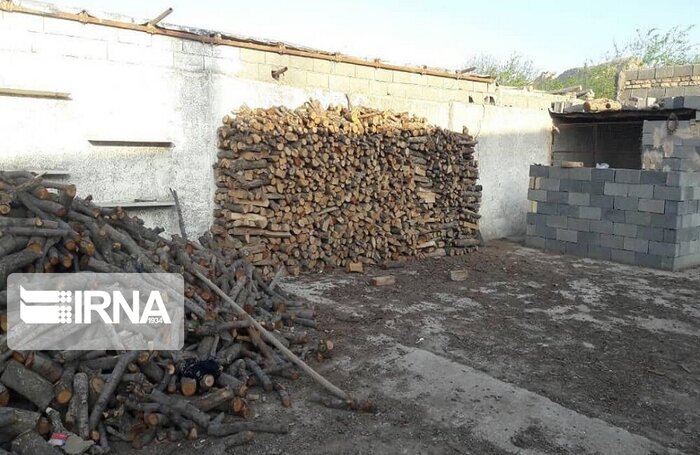 ۴۰ تن زغال و چوب بلوط قاچاق در کرمانشاه کشف شد