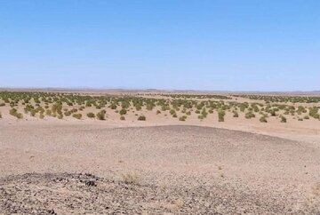 معاون محیط زیست استان همدان: منابع خاک با فرسایش بادی و آبی مواجه است