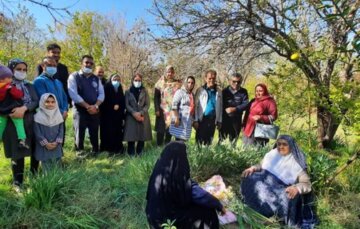 «گُل‌غلتان» خفر فارس، آیین ثبت شده در میراث معنوی