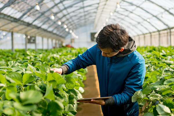 حمایت از فناوران کشاورزی برنامه اصلی معاونت علمی رییس جمهوری/فارغالتحصیلان اشتغالزایی کنند