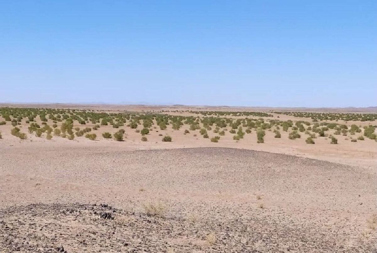 خاک نیازمند ارزیابی اقتصادی و تمهیدات سازمانی است خاک نیازمند ارزیابی اقتصادی و تمهیدات سازمانی است