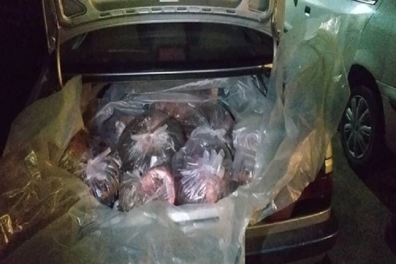 کشف ۳۰۰ کیلوگرم جگر فاسد و چند خبر از دامپزشکی کردستان کشف ۳۰۰ کیلوگرم جگر فاسد و چند خبر از دامپزشکی کردستان