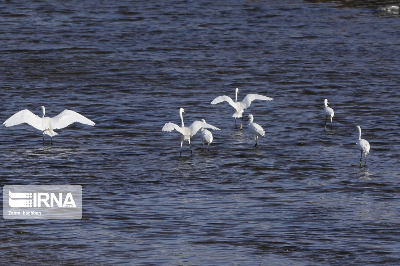 از فرود پهپاد در کوهرنگ تا نظارت بهداشتی در پایانههای مرزی