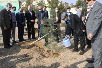 پویش «ایران سرسبز» با نهالکاری ۱۰ هزار هکتار بیابان در سمنان آغاز شد