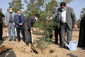 آغاز پویش مردمی «ایران سرسبز» در سمنان