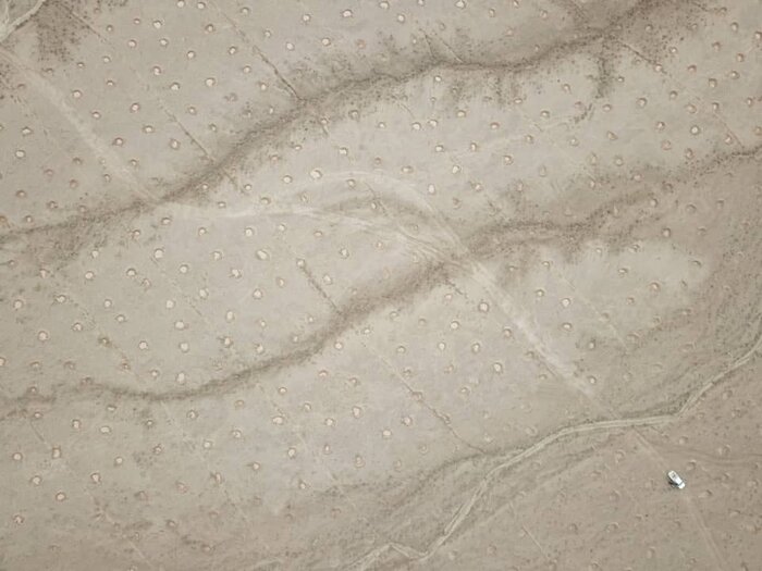 هلالیهای محیطزیست کرمان به هدف خورد