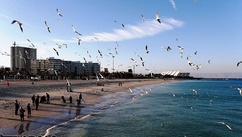 ایده یابی کارآفرینی با هدف کیش بهشت کار آفرینان انجام می شود