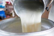 ۲۵ هزار تن شیر در شهرستان نیر تولید شد