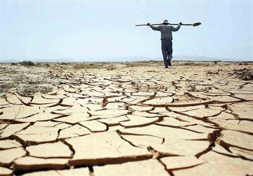 خسارت های خشکسالی به کشاورزان استان ایلام جبران می شود