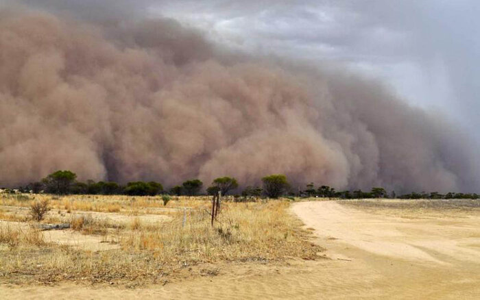 شتاب طرحهای بیابانزدایی گلستان با حمایت دولت و بوتههای سازگار