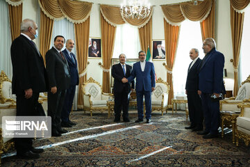 Syria's Mekdad meets Iran's Shamkhani