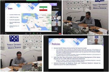 آمادگی ایران برای تداوم همکاری‌ با سازمان جهانی بهداشت در حوزه طب سنتی