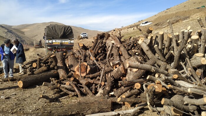 نگرانی طبیعت دوستان سقزی از کامیون های حامل چوب