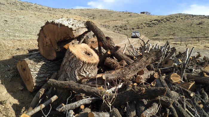 نگرانی طبیعت دوستان سقزی از کامیون های حامل چوب
