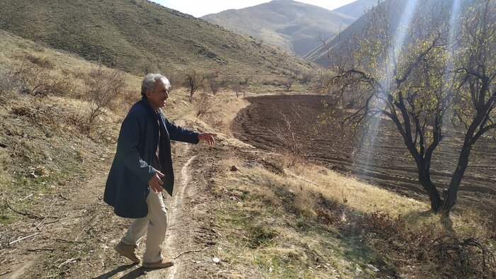 نگرانی طبیعت دوستان سقزی از کامیون های حامل چوب