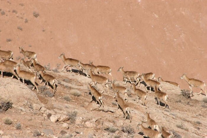 جاذبه های طبیعی و گردشگری اسفراین