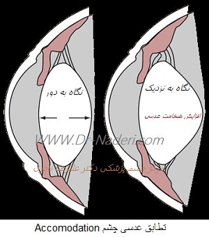 ۴۰ سالگی دروازه ورود به پیر چشمی است