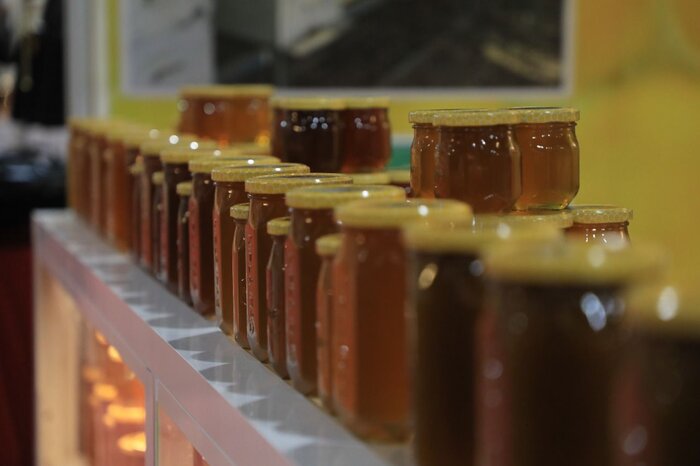 گشایش جشنواره خرید کالای نجف اشرف با حضور شرکتهای ایرانی