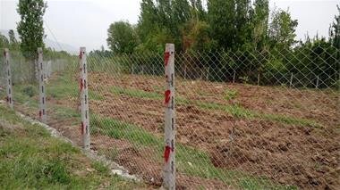 کاهش بهرهوری و تهدید امنیت غذایی؛ چالش خردشدن اراضی زراعی گلستان