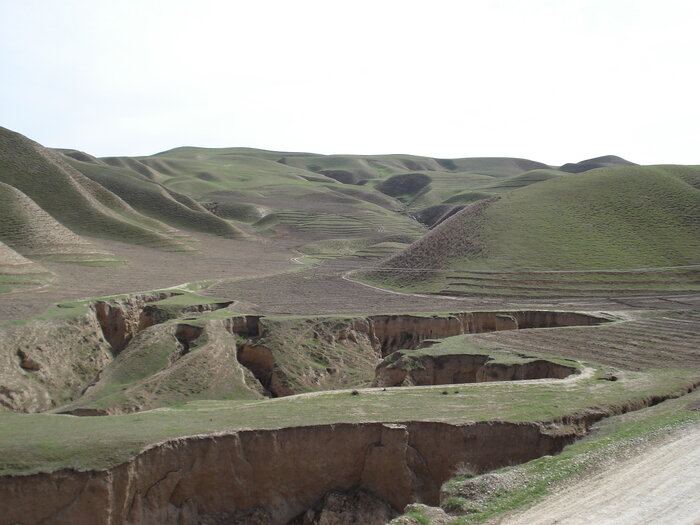 فرسایش، چالش جدی رویش در گلستان
