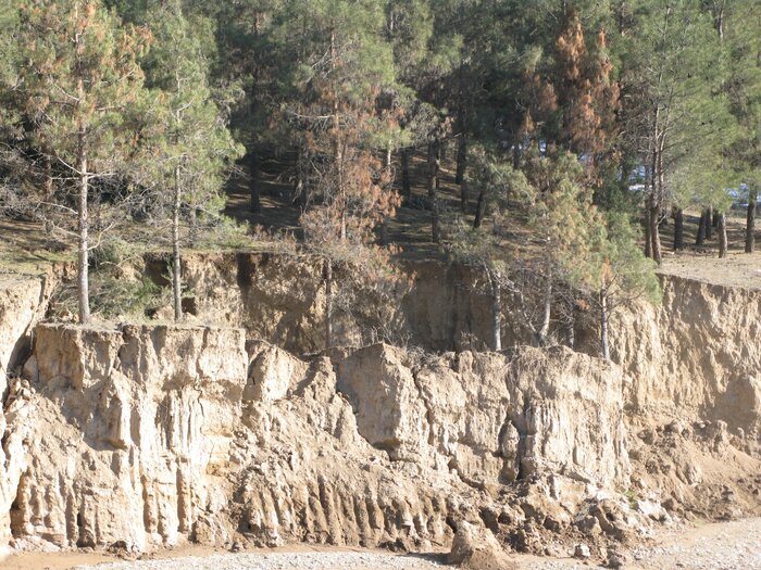 فرسایش، چالش جدی رویش در گلستان