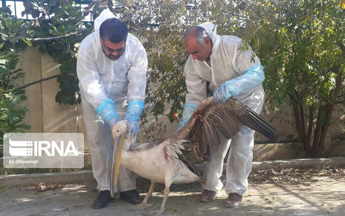 دستگیری عاملان نزاع مسلحانه در علیآباد و دیگر اخبار هفته گذشته گلستان