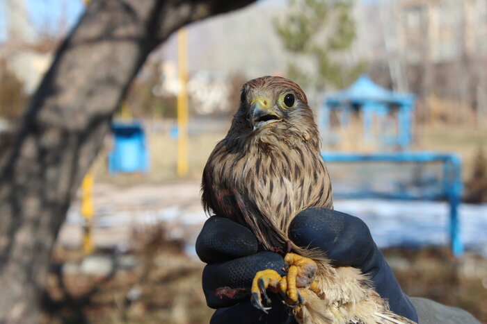 سه خبر از شهرستان های استان بوشهر