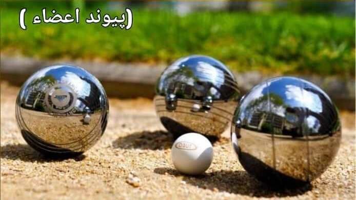 ۱۱ ورزشکار زنجانی اعزامی به مسابقات قهرمانی پیوند اعضا مشخص شدند