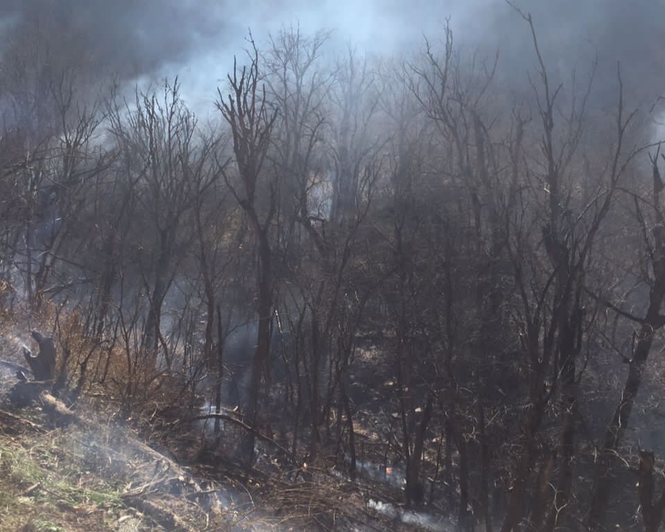 آتش به ۲ هکتار از عرصههای پارک ملی گلستان خسارت زد آتش به ۲ هکتار از عرصههای پارک ملی گلستان خسارت زد