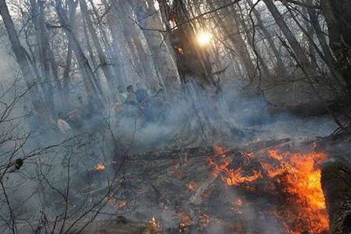 منابع طبیعی مازندران برای مهار آتش جنگل چالوس درخواست بالگرد کرد