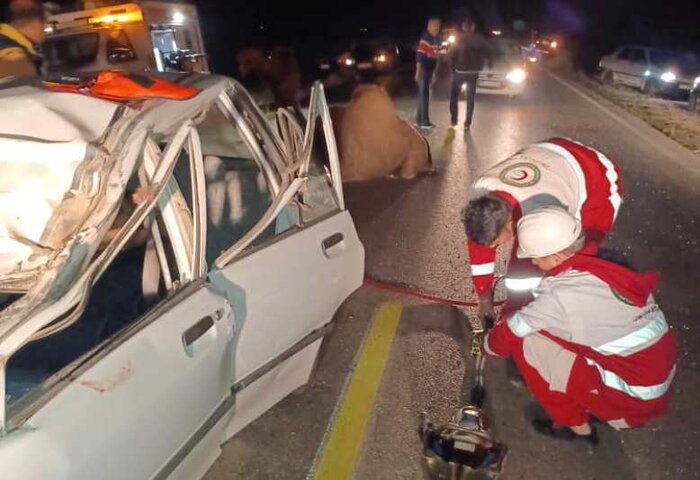 برخورد پراید با شتر در گنبدکاووس چهار مصدوم برجا گذاشت