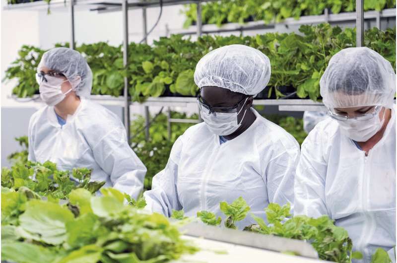 ادعای یک شرکت کانادایی برای ساخت واکسن گیاهی موثر بر کرونا ادعای یک شرکت کانادایی برای ساخت واکسن گیاهی موثر بر کرونا