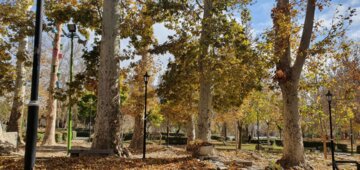 زیبایی‌های پارک سیفیه ملایر در واپسین روزهای پاییز